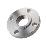 Stainless Steel Flanges Manufacturer in India