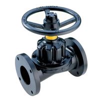 Diaphragm valves Manufacturer in India